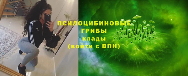 хмурый Алзамай