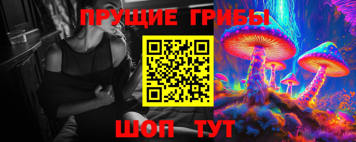 Псилоцибиновые грибы GOLDEN TEACHER  Галлюциногенные грибы мухоморы  Железноводск  Вход с VPN 
